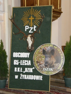 Hodowla foksterierów-aktualności