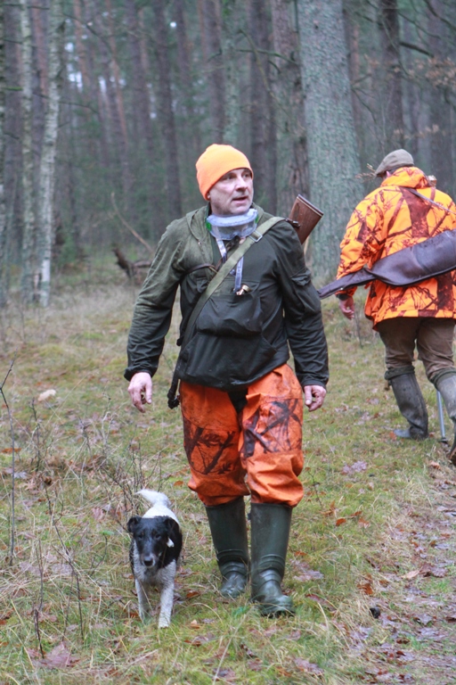 Foksterier krótkowłosy Czuch Ganis 7 miesięcy